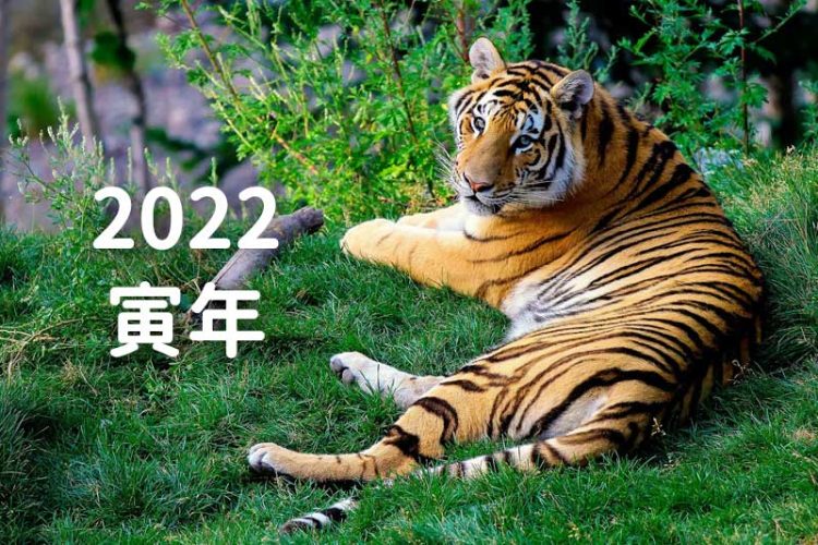 新年2022あけましておめでとうございますイラスト！集