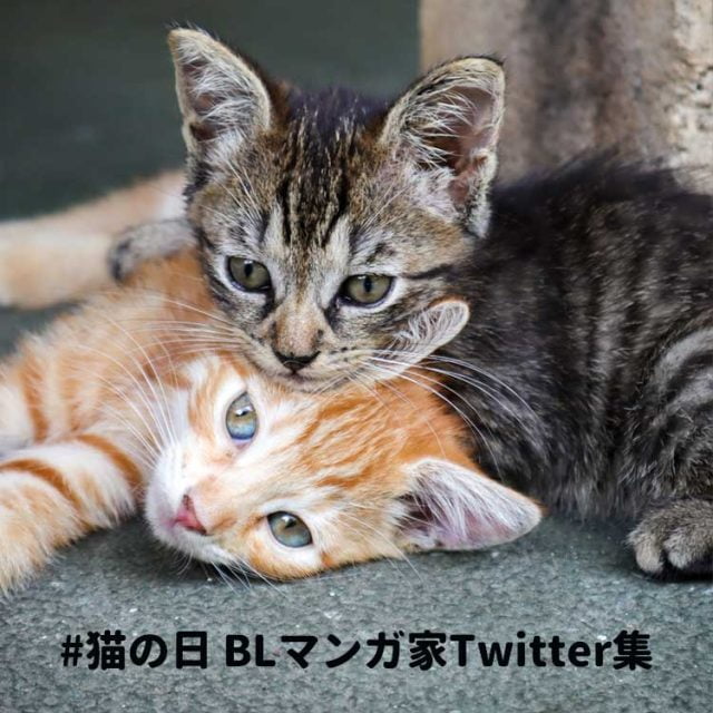 猫の日BLマンガ家イラスト！集