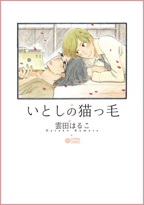 いとしの猫っ毛