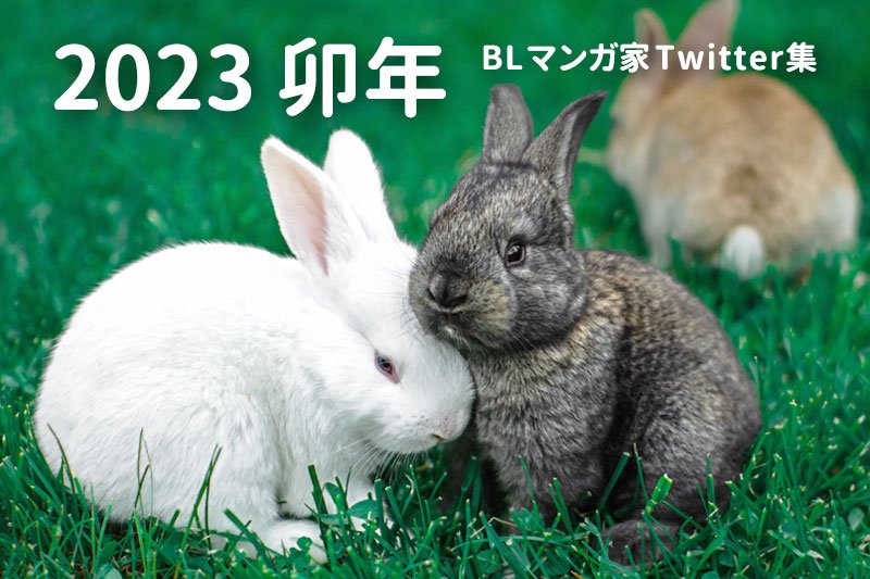 BLマンガ家Twitterイラスト集2023卯年