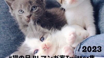 ネコの日