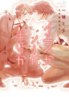 イエスかノーか半分か